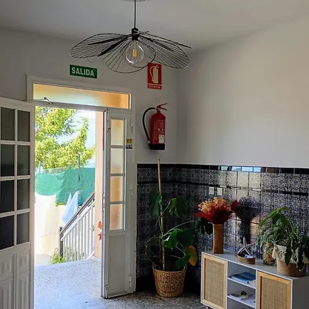 O Regato
